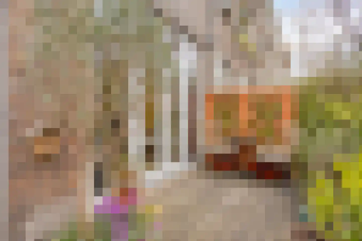 Lange Nieuwstraat 19 B 2 Schiedam thumbnail 20
