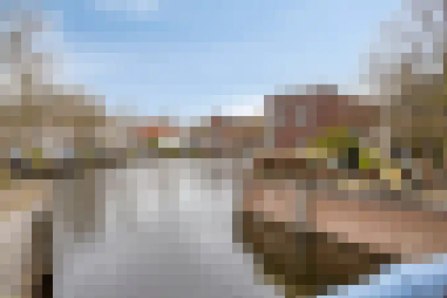 Lange Nieuwstraat 19 B 2 Schiedam thumbnail 25