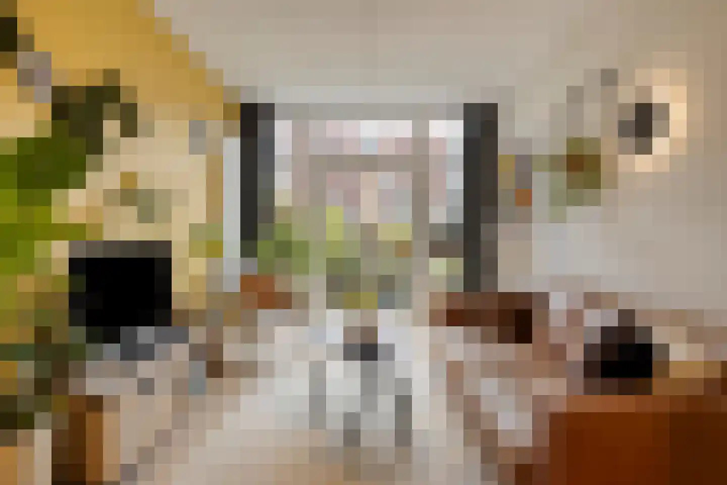 Lange Nieuwstraat 19 B 2 Schiedam thumbnail 4