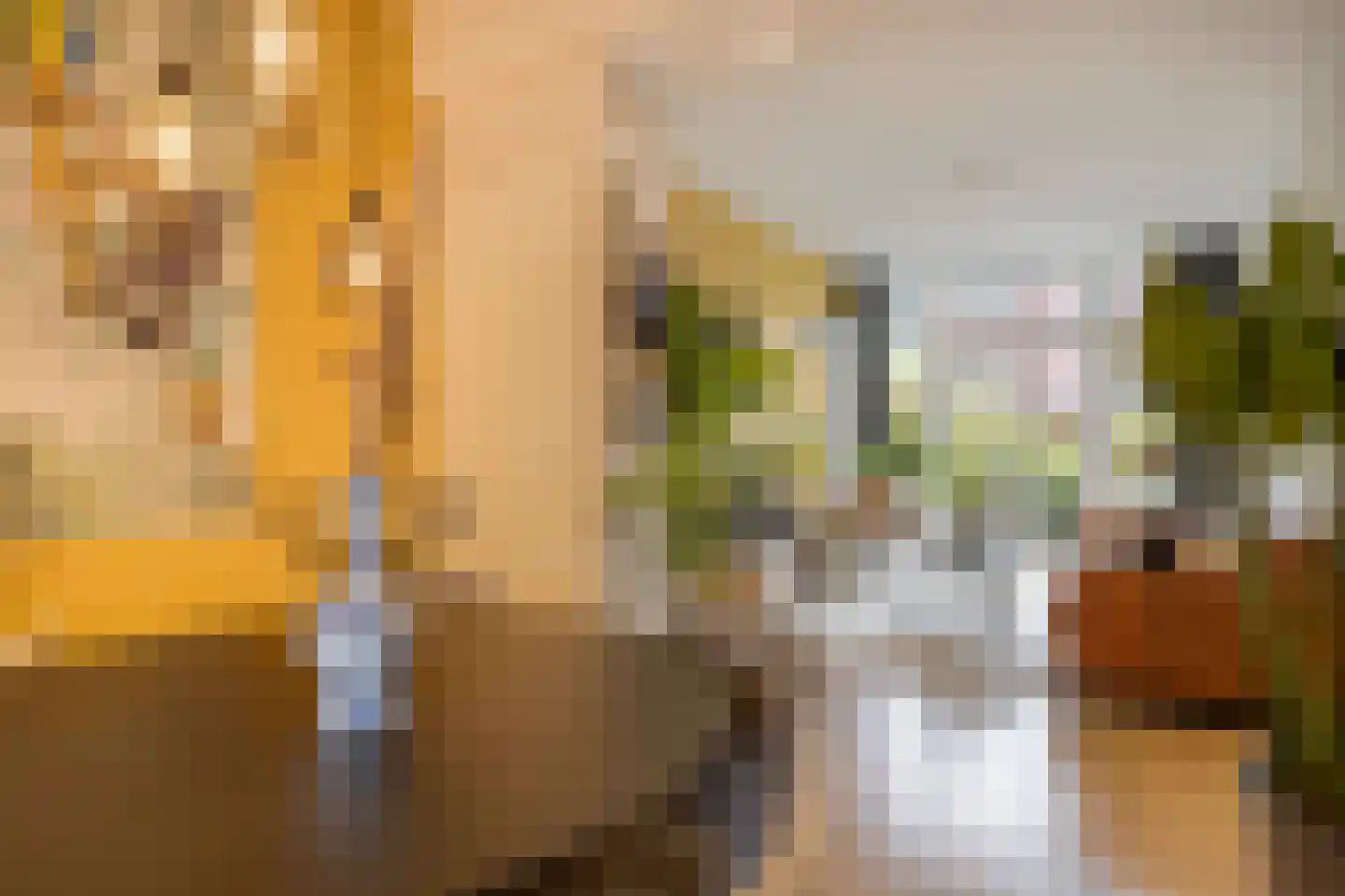 Lange Nieuwstraat 19 B 2 Schiedam thumbnail 6