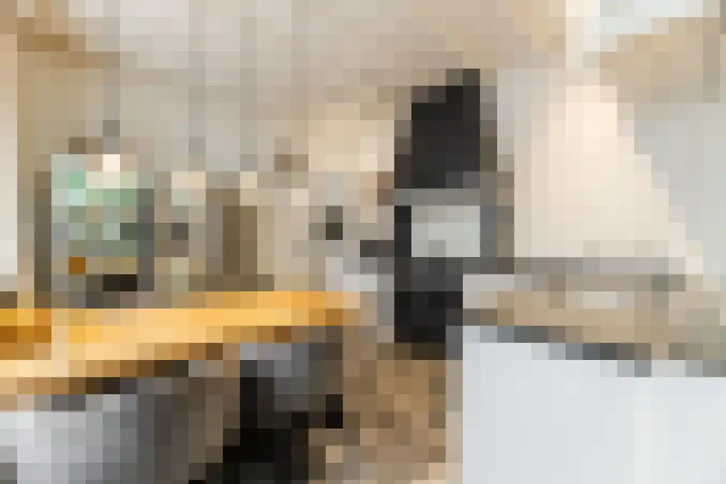 Lange Nieuwstraat 208 Tilburg thumbnail 15