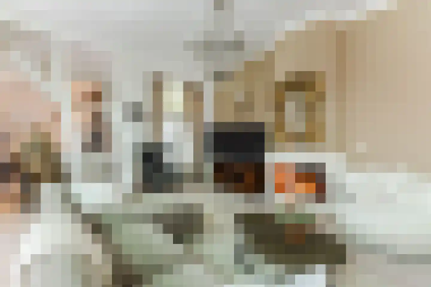 Lange Nieuwstraat 208 Tilburg thumbnail 9