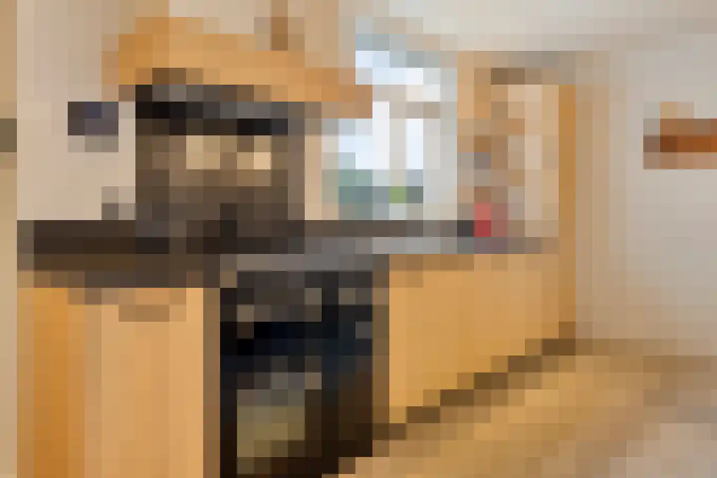 Lange Nieuwstraat 28 Kloosterzande thumbnail 12