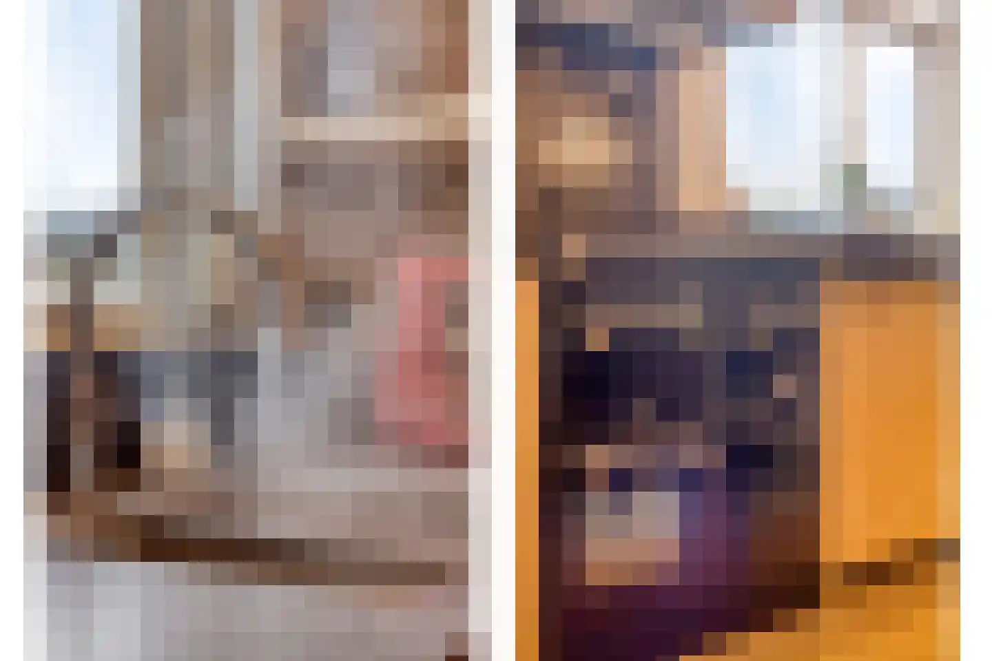 Lange Nieuwstraat 28 Kloosterzande thumbnail 13