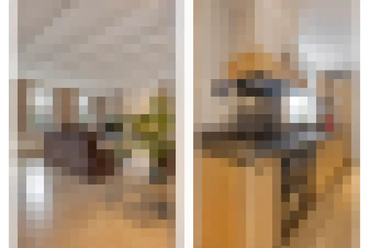 Lange Nieuwstraat 28 Kloosterzande thumbnail 15