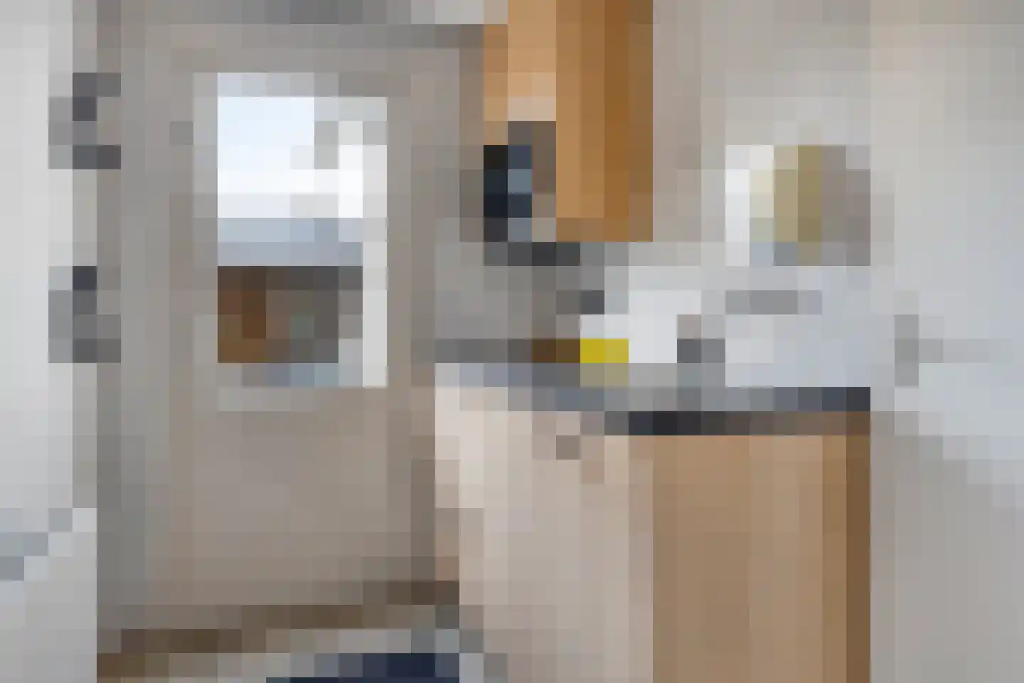 Lange Nieuwstraat 28 Kloosterzande thumbnail 20