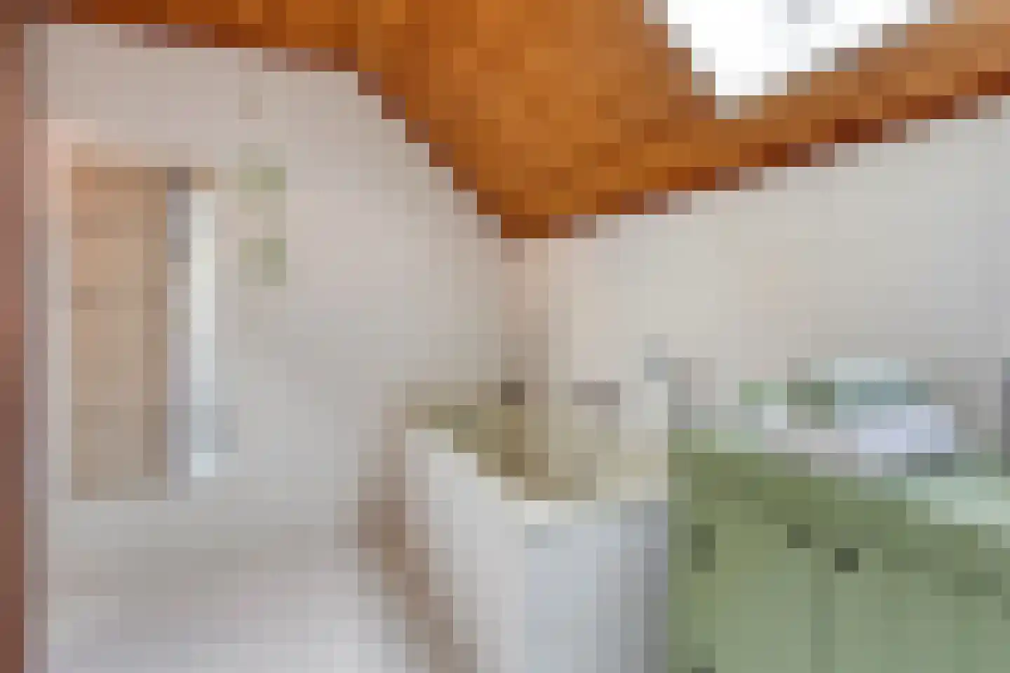 Lange Nieuwstraat 28 Kloosterzande thumbnail 26