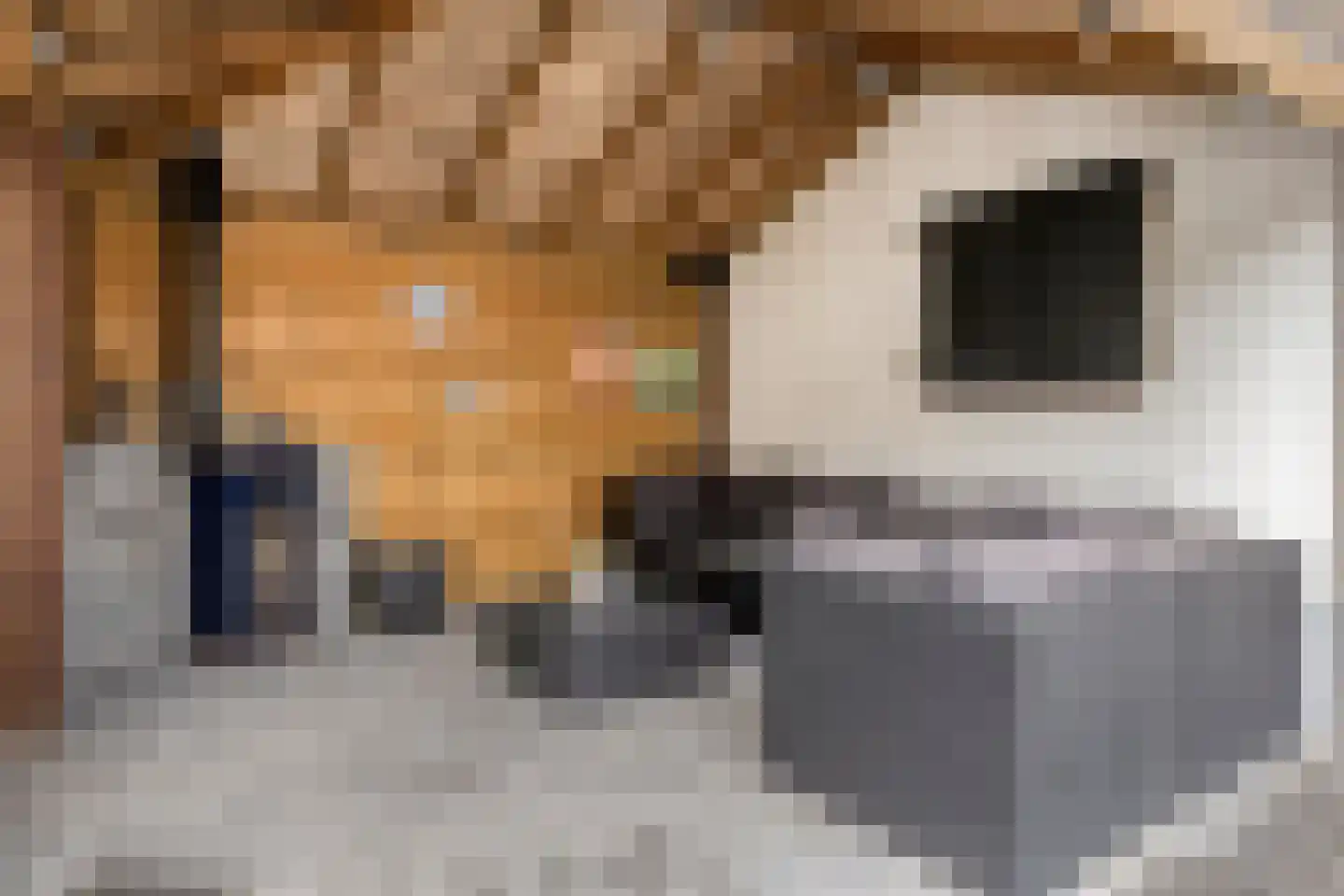 Lange Nieuwstraat 28 Kloosterzande thumbnail 34