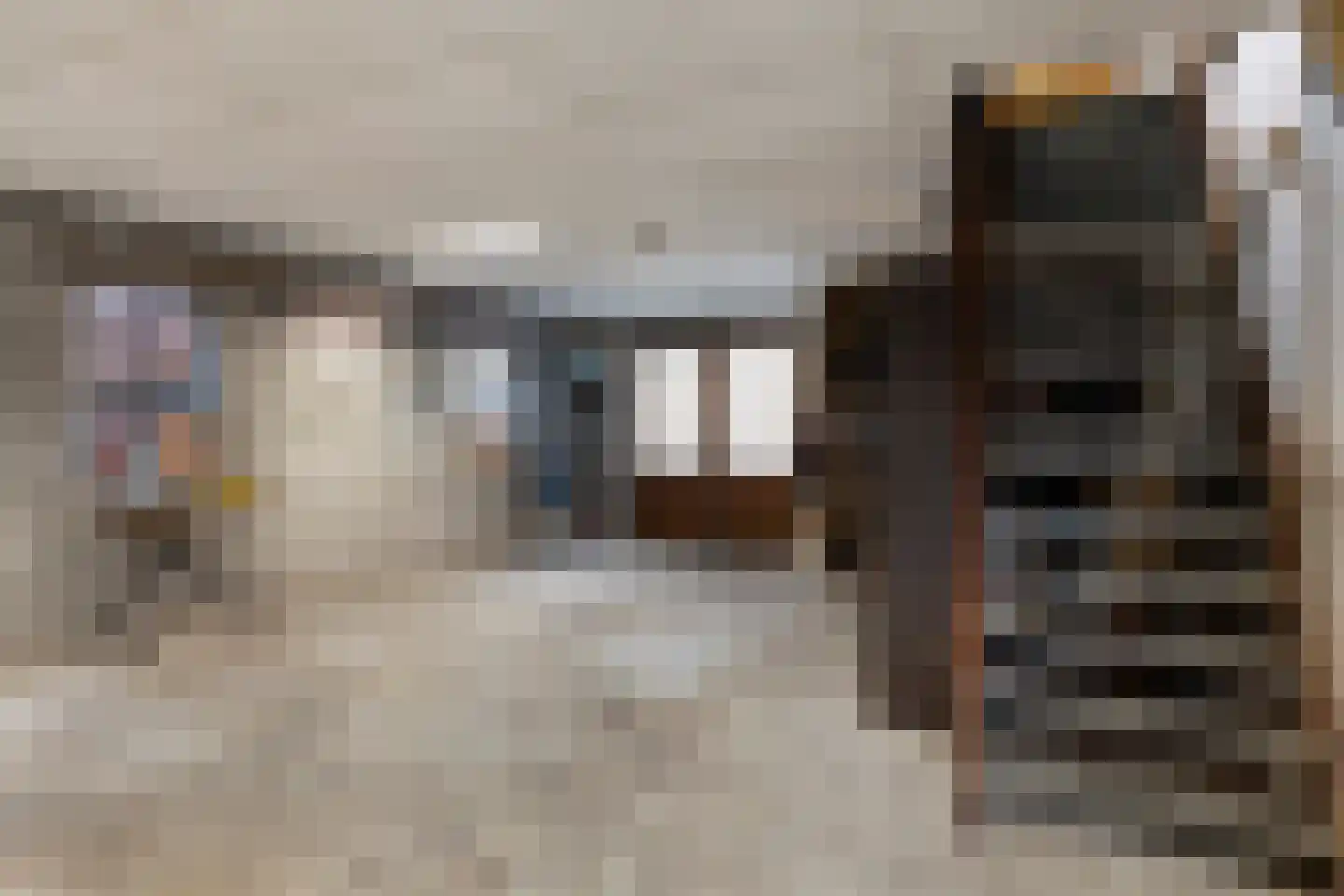 Lange Nieuwstraat 28 Kloosterzande thumbnail 37