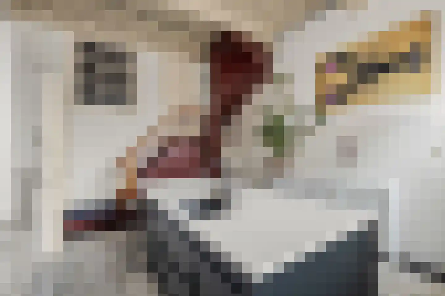 Lange Nieuwstraat 41 Utrecht thumbnail 13