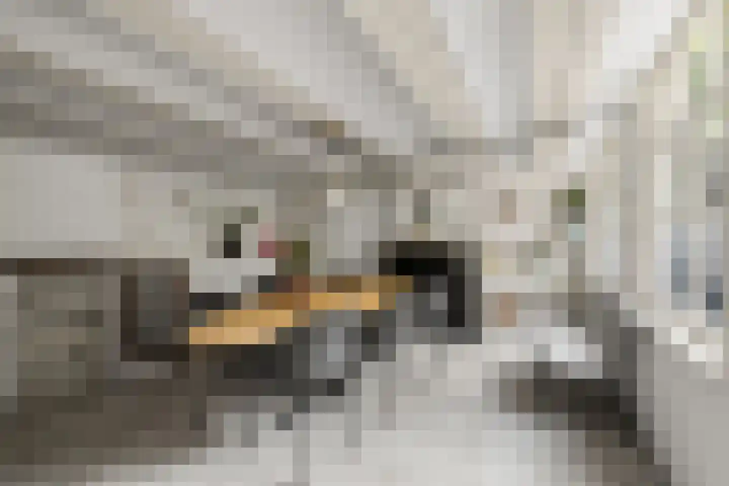 Lange Nieuwstraat 41 Utrecht thumbnail 19