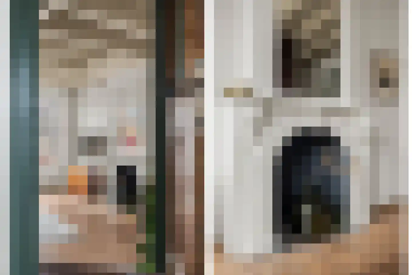 Lange Nieuwstraat 41 Utrecht thumbnail 41