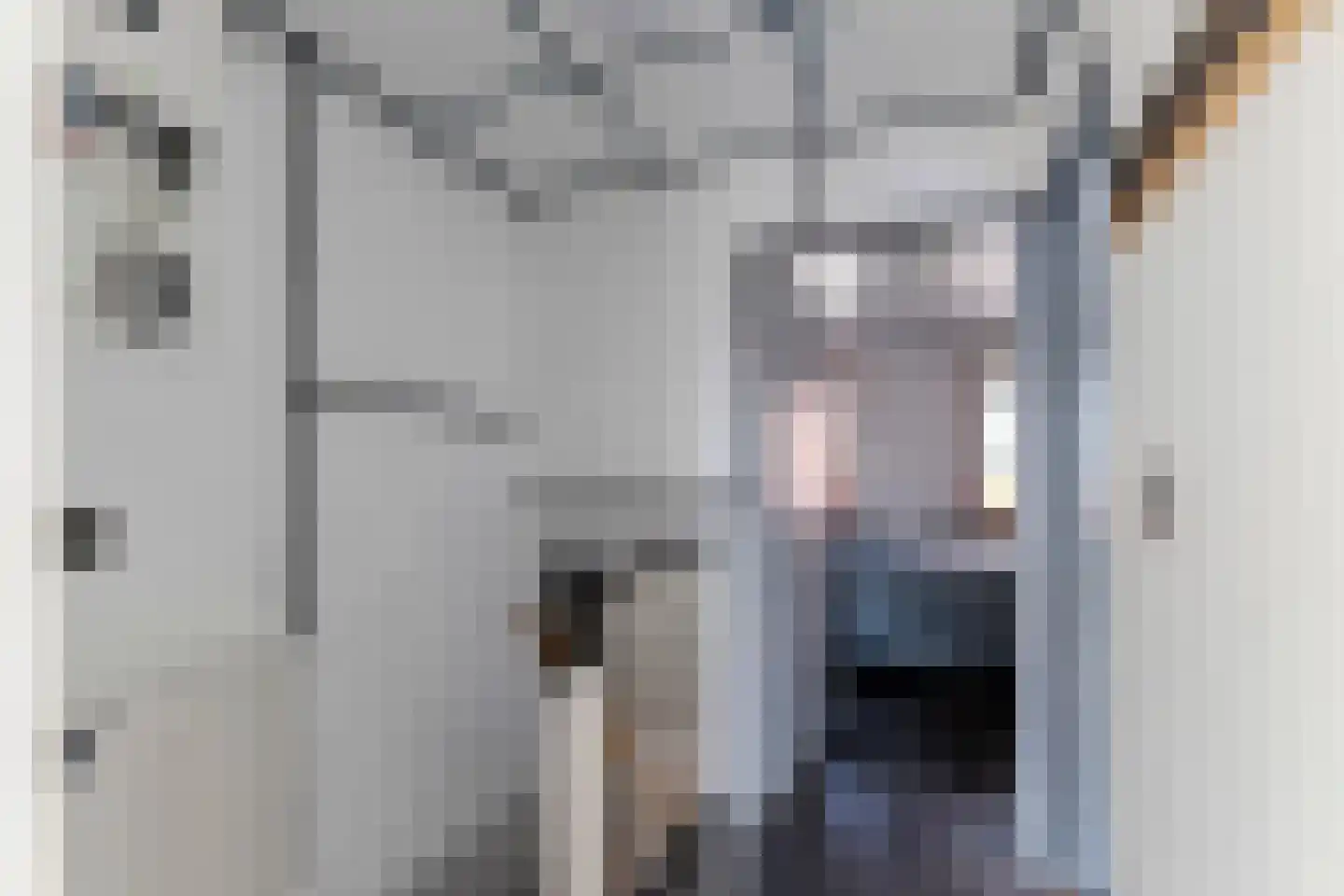 Lange Nieuwstraat 52 Tilburg thumbnail 12