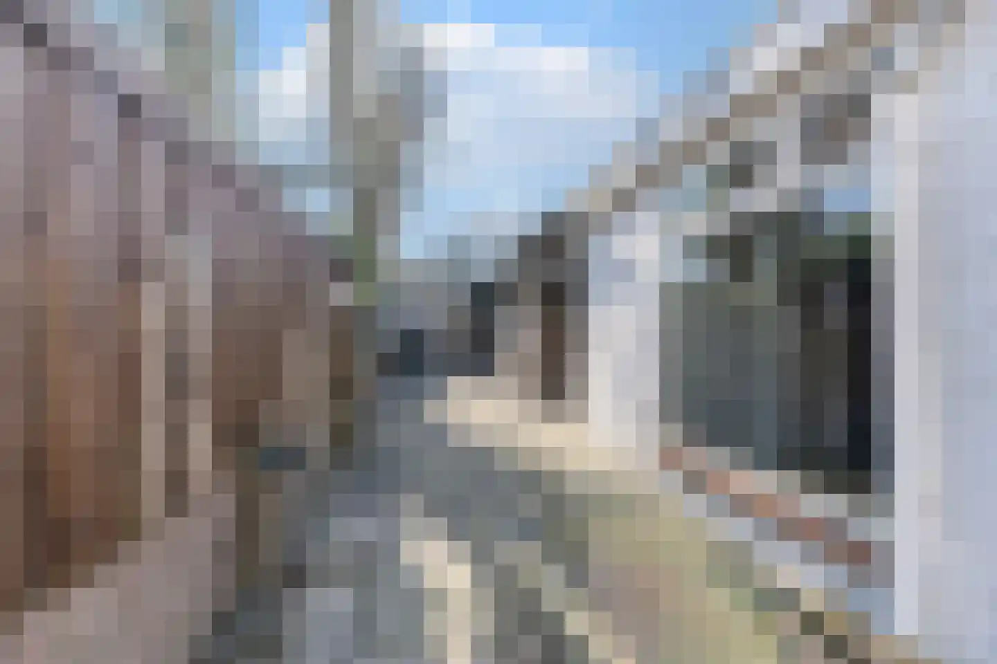 Lange Nieuwstraat 52 Tilburg thumbnail 25