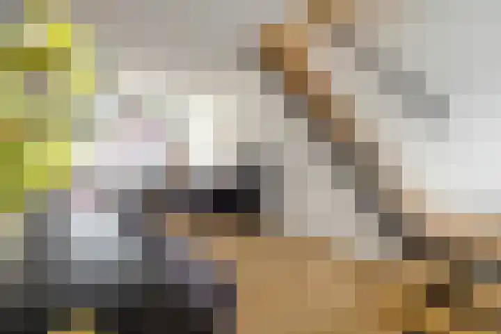 Lange Nieuwstraat 54 Tilburg thumbnail 5