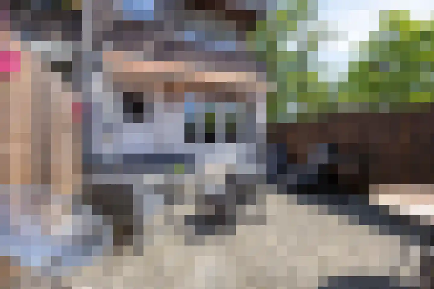 Lange Nieuwstraat 7 A Schiedam thumbnail 12