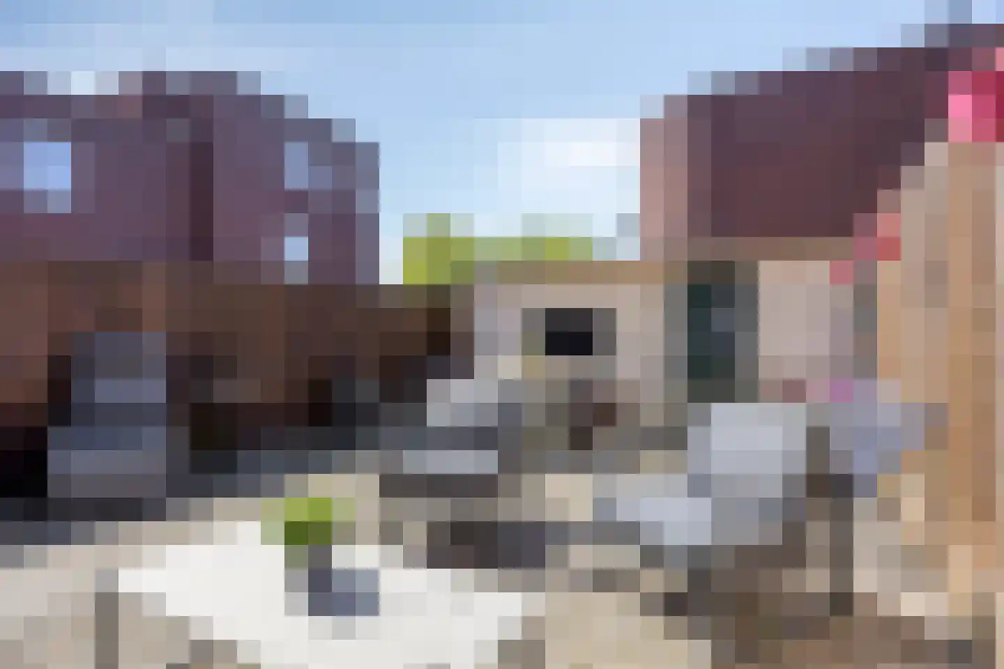 Lange Nieuwstraat 7 A Schiedam thumbnail 13
