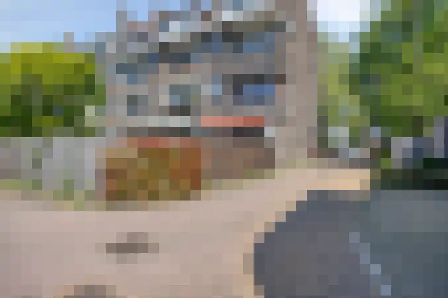 Lange Nieuwstraat 7 A Schiedam thumbnail 21