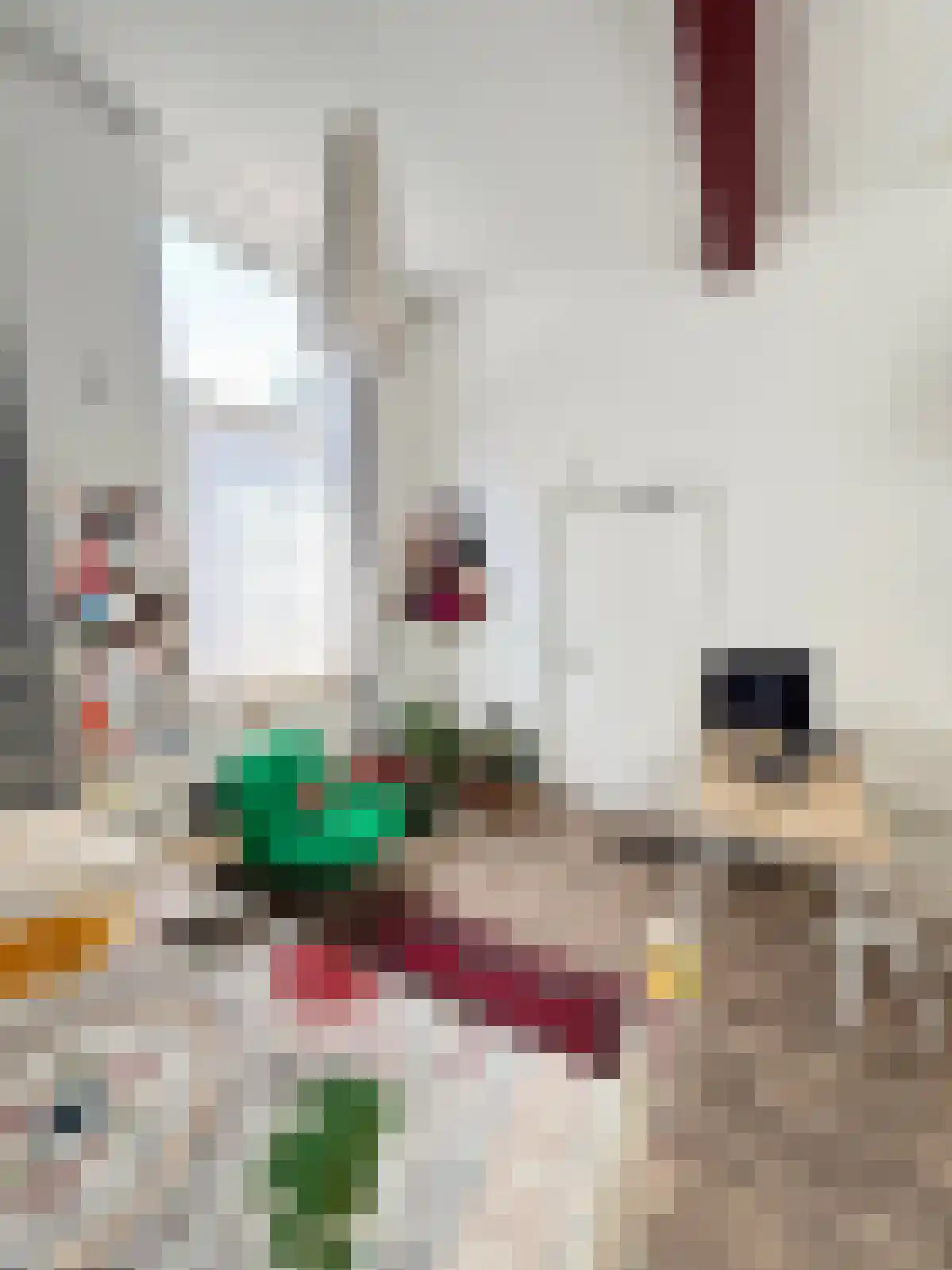 Lange Nieuwstraat 76 Utrecht thumbnail 4