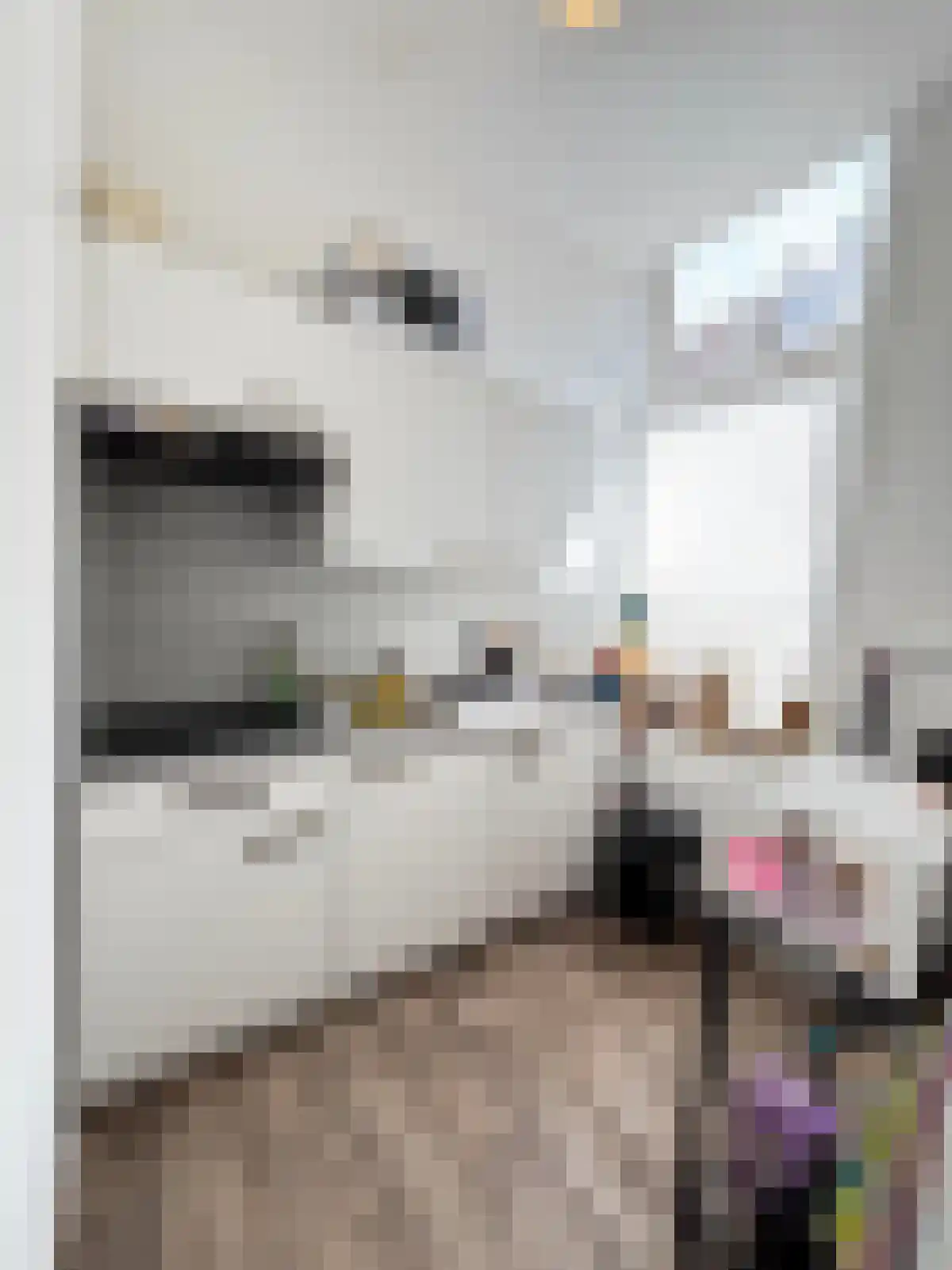 Lange Nieuwstraat 76 Utrecht thumbnail 6