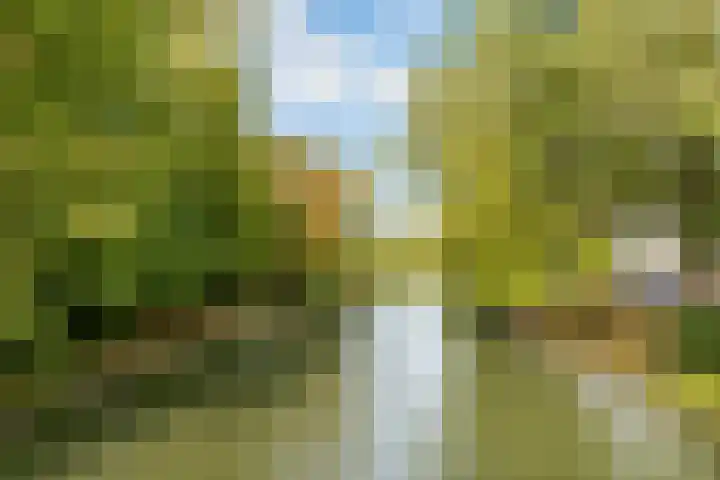 Lange Nieuwstraat 84 B Utrecht thumbnail 36