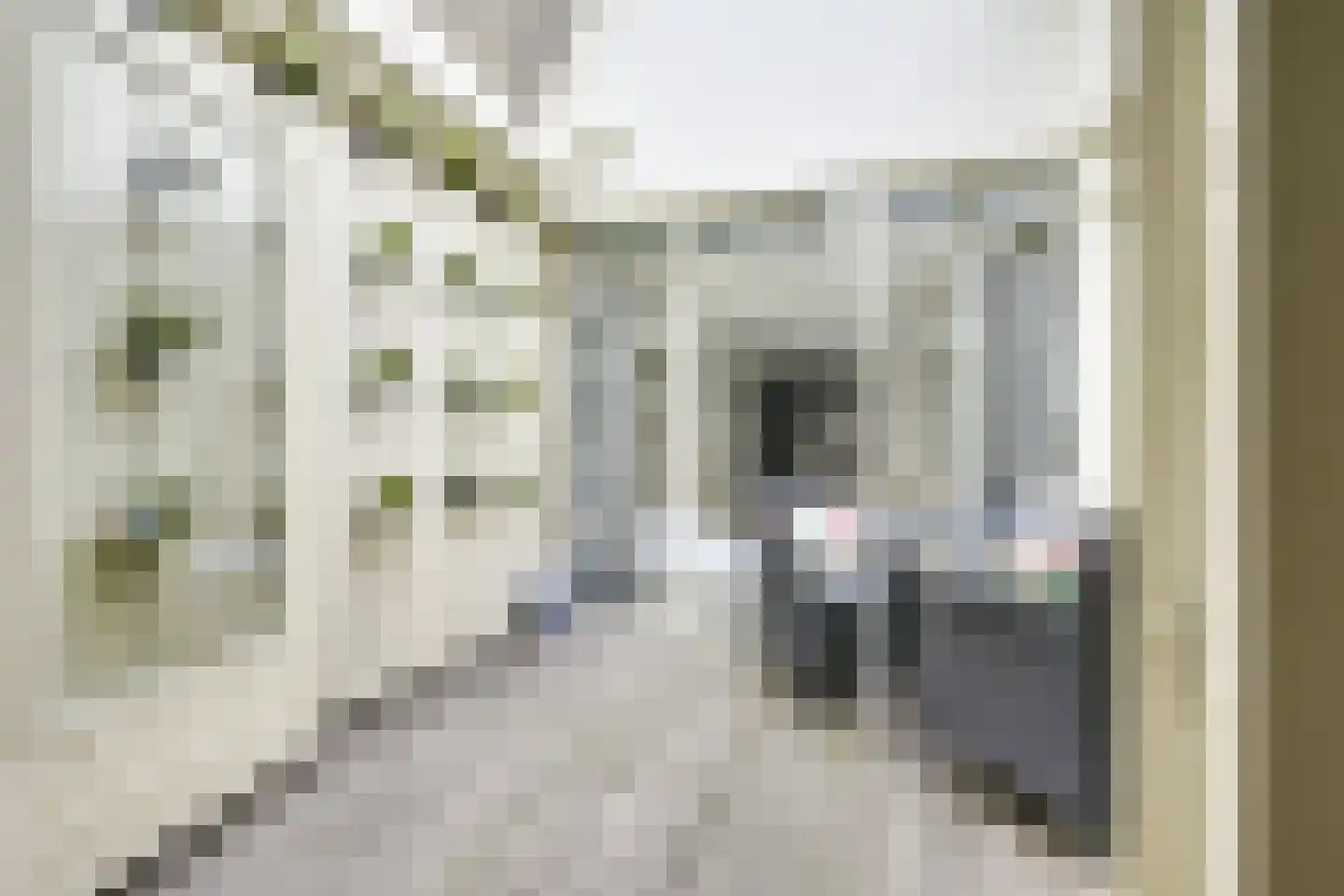 Lange Nieuwstraat 84 Utrecht thumbnail 13