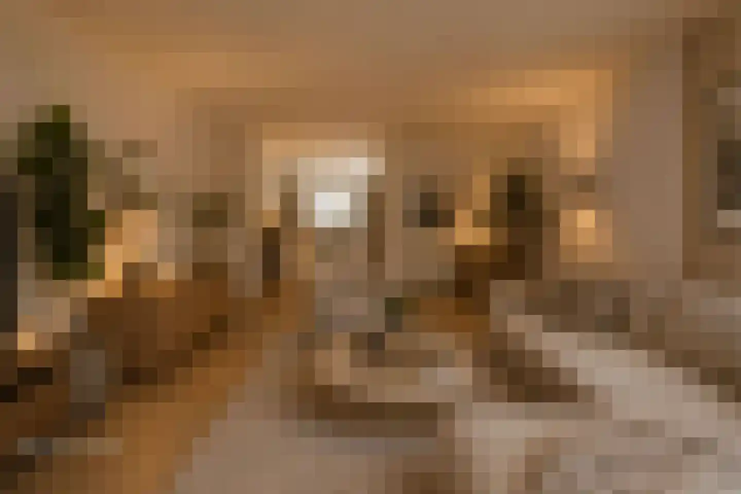 Lange Nieuwstraat 84 Utrecht thumbnail 4