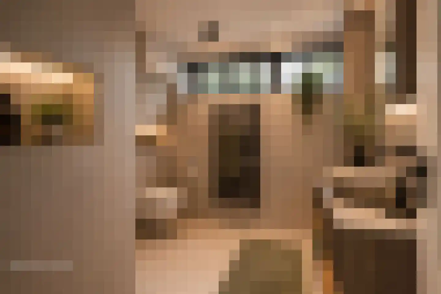 Lange Nieuwstraat 84 Utrecht thumbnail 42
