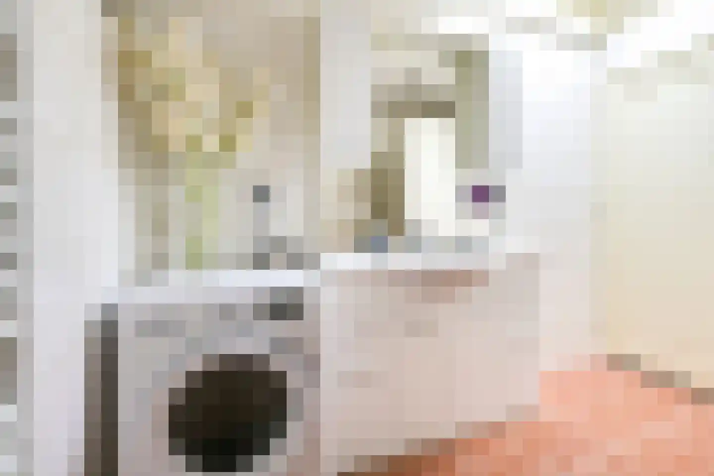 Lange Nieuwstraat 84 Utrecht thumbnail 44