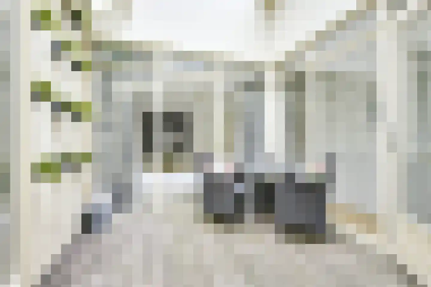 Lange Nieuwstraat 84 Utrecht thumbnail 5