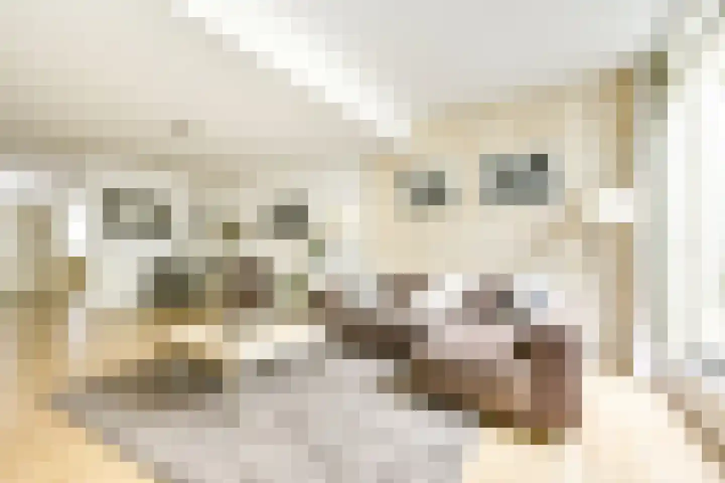 Lange Nieuwstraat 84 Utrecht thumbnail 6