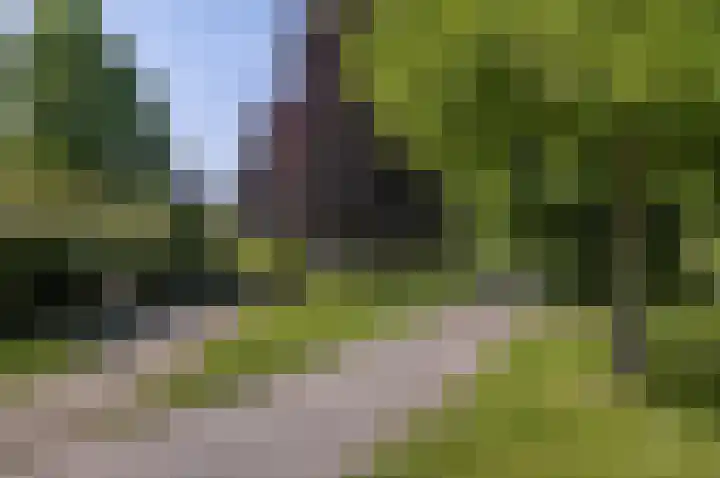 Lange Nieuwstraat 9 B 2 Schiedam thumbnail 31