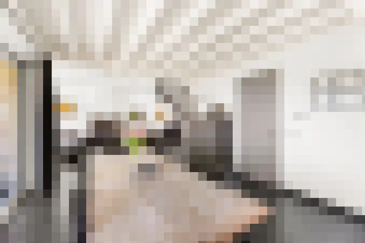 Lange Nieuwstraat 9 Kloosterzande thumbnail 10
