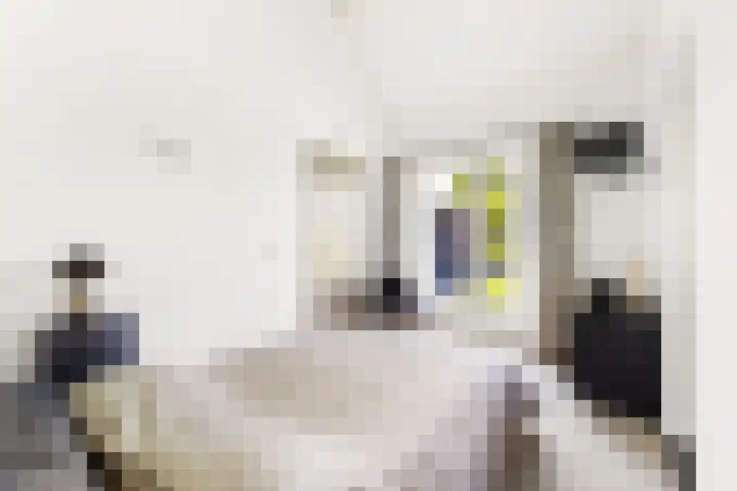 Lange Nieuwstraat 9 Kloosterzande thumbnail 21
