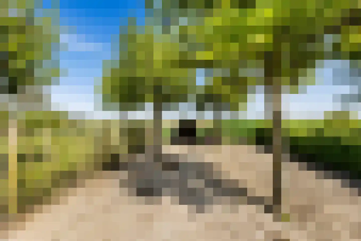 Lange Nieuwstraat 9 Kloosterzande thumbnail 41