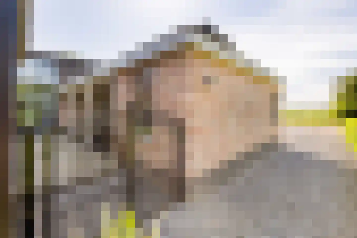 Lange Nieuwstraat 9 Kloosterzande thumbnail 43