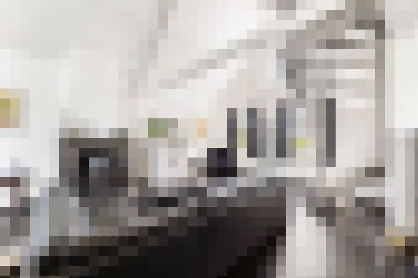 Lange Nieuwstraat 9 Kloosterzande thumbnail 5