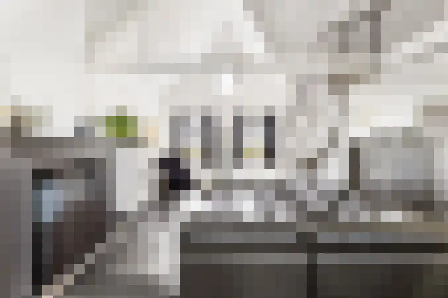 Lange Nieuwstraat 9 Kloosterzande thumbnail 6