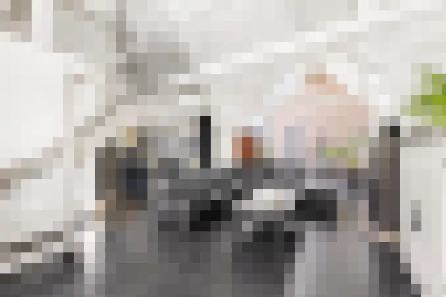 Lange Nieuwstraat 9 Kloosterzande thumbnail 7
