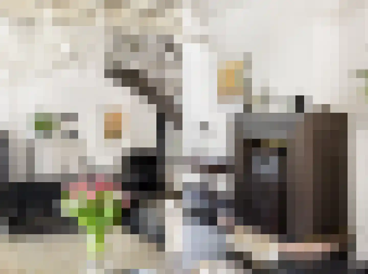 Lange Nieuwstraat 9 Kloosterzande thumbnail 8