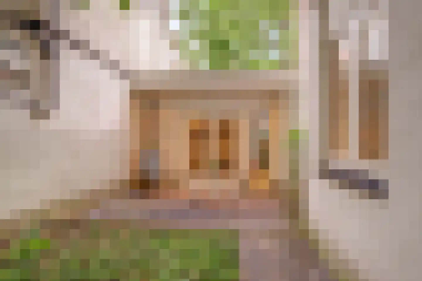 Lange Nieuwstraat 98 Utrecht thumbnail 15