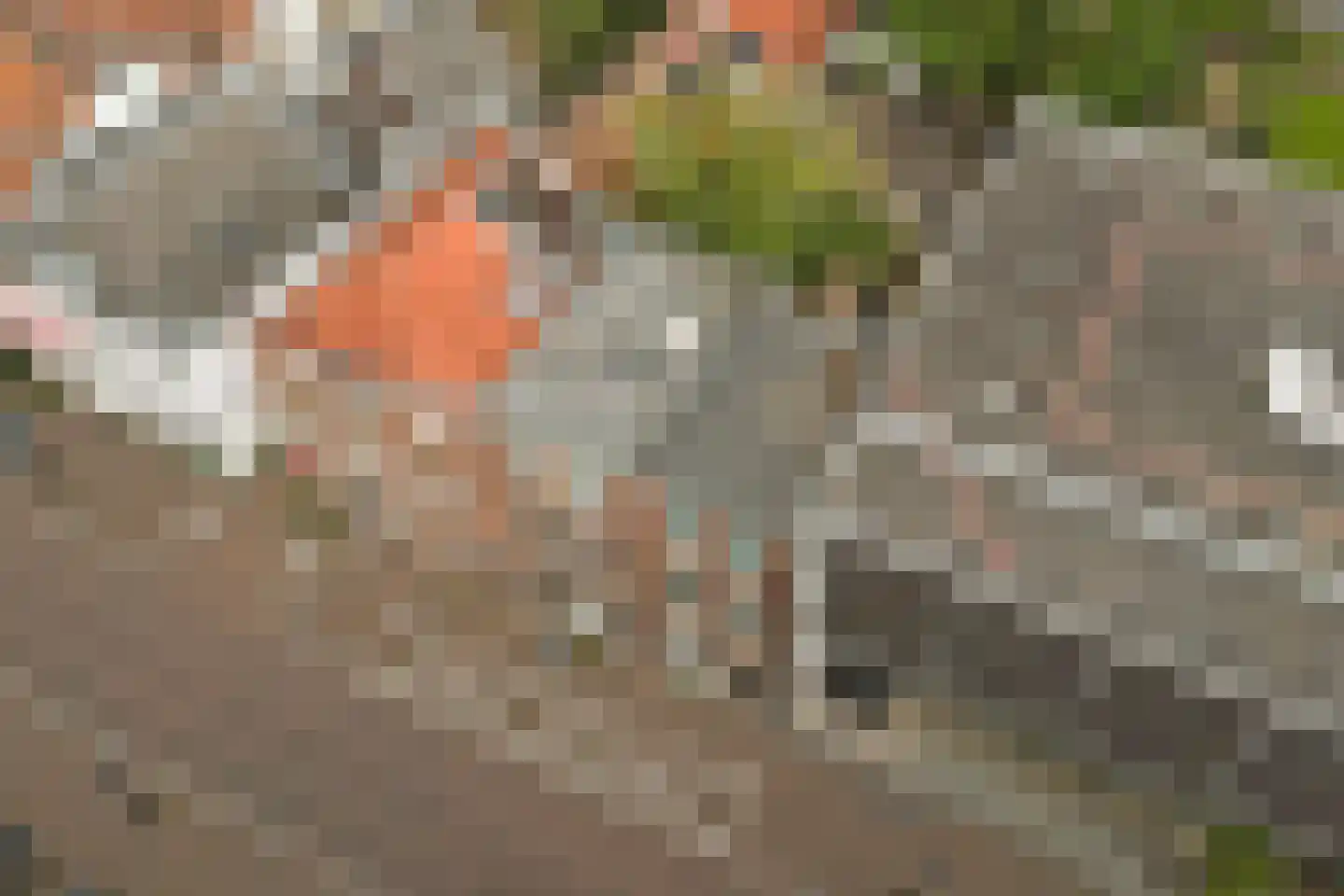 Lange Nieuwstraat 98 Utrecht thumbnail 36