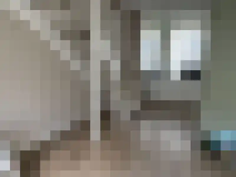 Lange Nieuwstraat Tilburg thumbnail 5