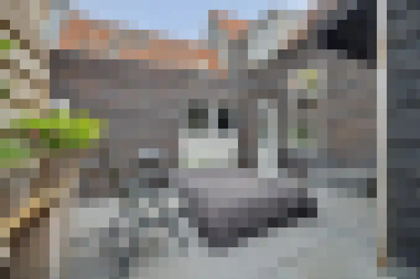 Lange Nobelstraat 31 Zierikzee thumbnail 17