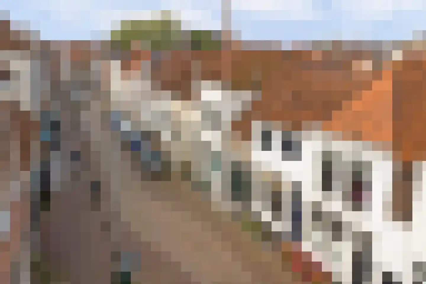 Lange Nobelstraat 31 Zierikzee thumbnail 28