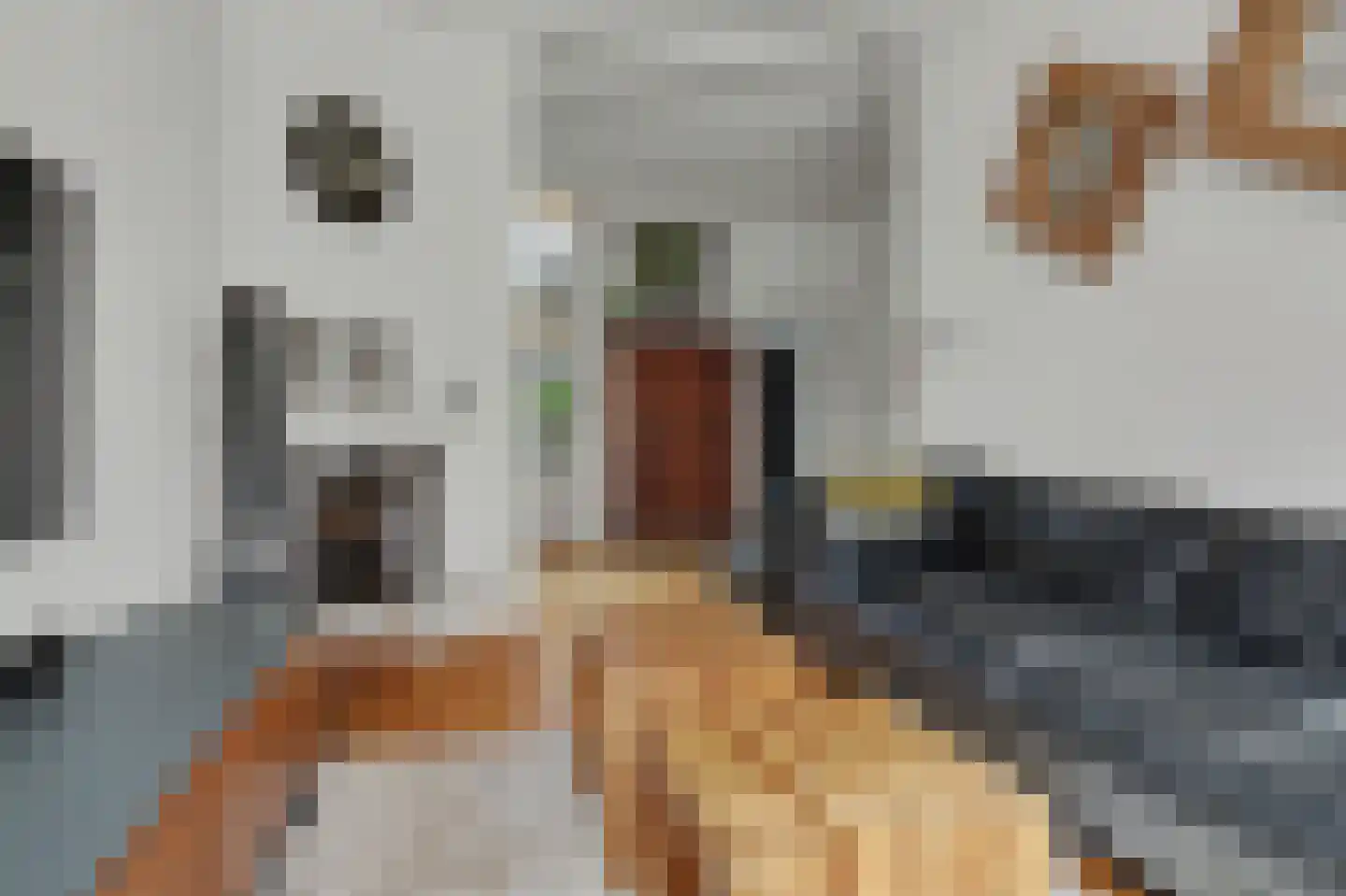 Lange Nobelstraat 31 Zierikzee thumbnail 8