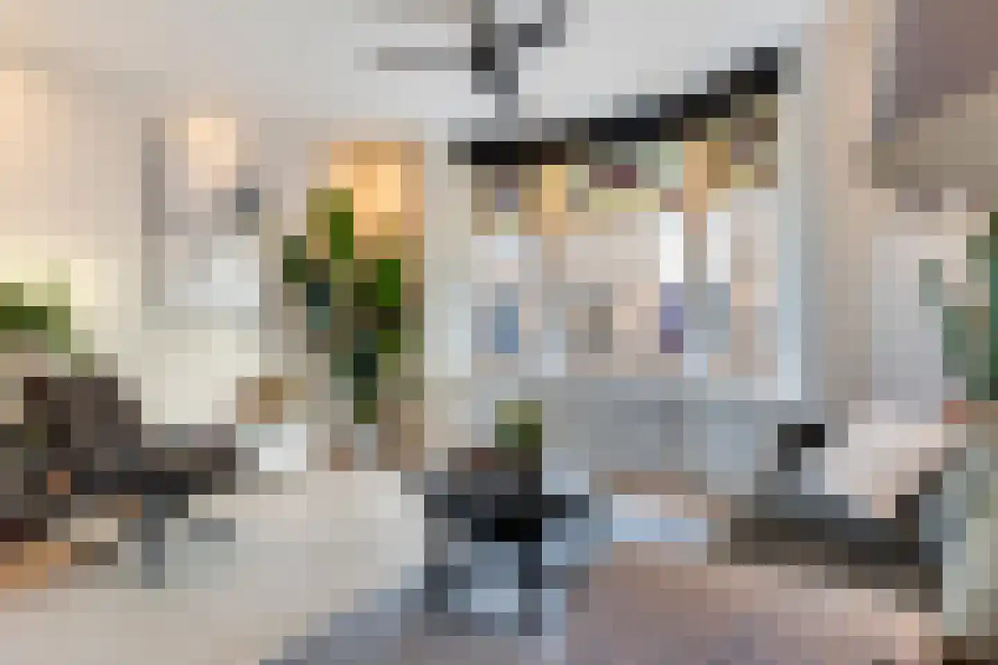 Lange Noodgodsstraat 15 Gouda thumbnail 7