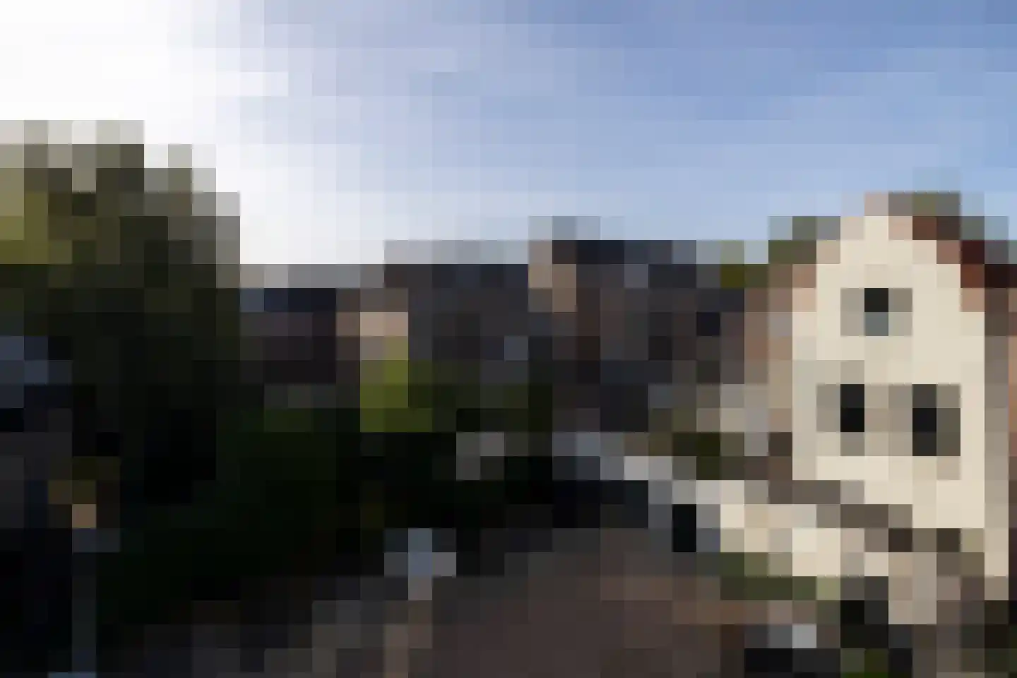 Lange Noodgodsstraat 16 Gouda thumbnail 35