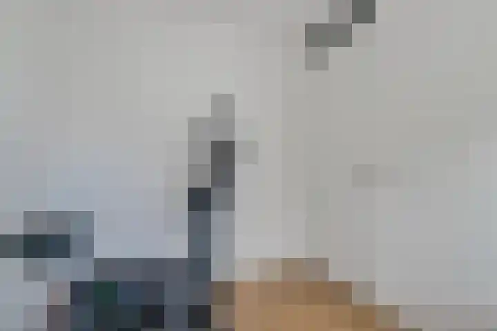 Lange Omgang 13 Bant thumbnail 21