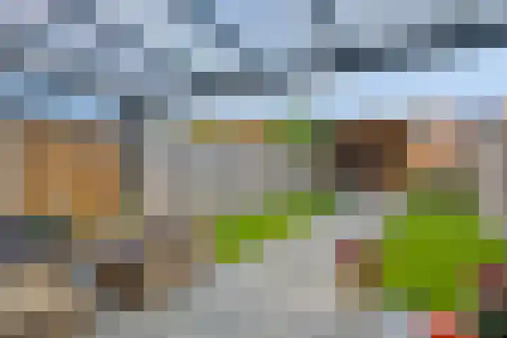 Lange Omgang 13 Bant thumbnail 33